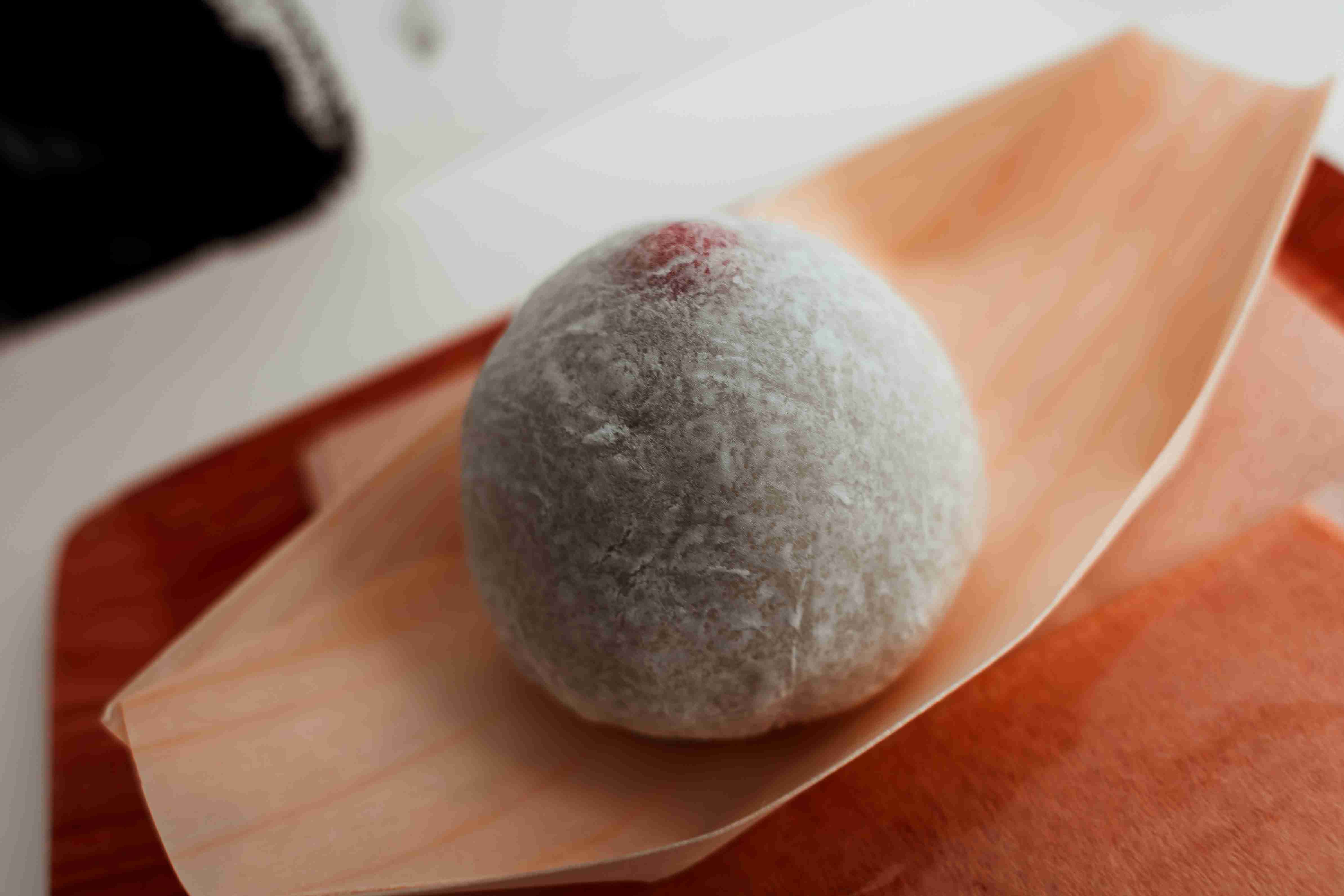 A7403621 — featured portfolio image